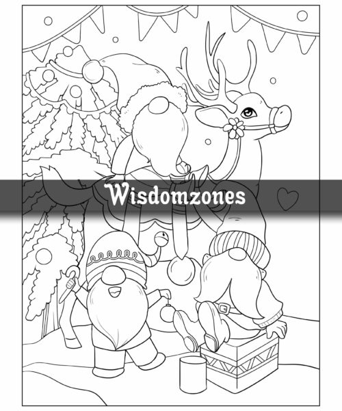 Enchanted Gnomes: Whimsical Fantasy Coloring Book for Kids, Teens, Adults with Cute Gnomes in Delightful Adventures. Collection of Gnomes in Hilarious ... Relaxation (Whimsical wonders Stress Relief)